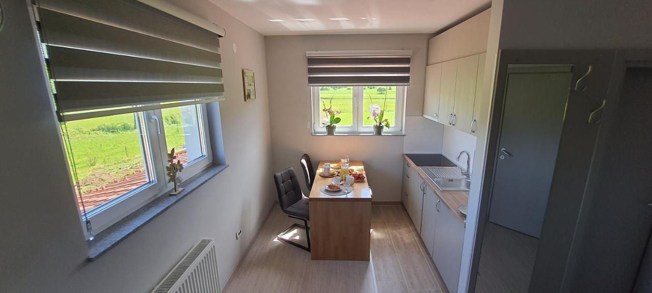 Apartment Fenestra Tesla I Faust